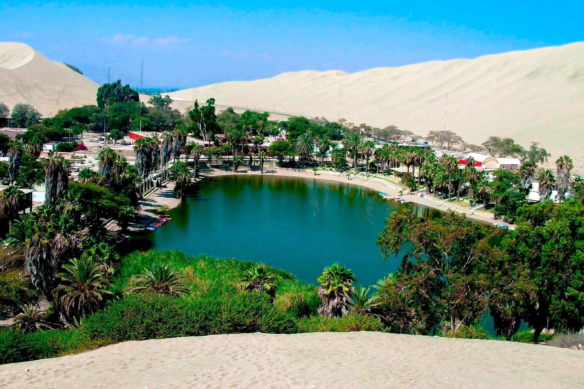 el oasis